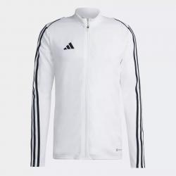 adidas Men's Tiro 23 League Training Jacket (Team 